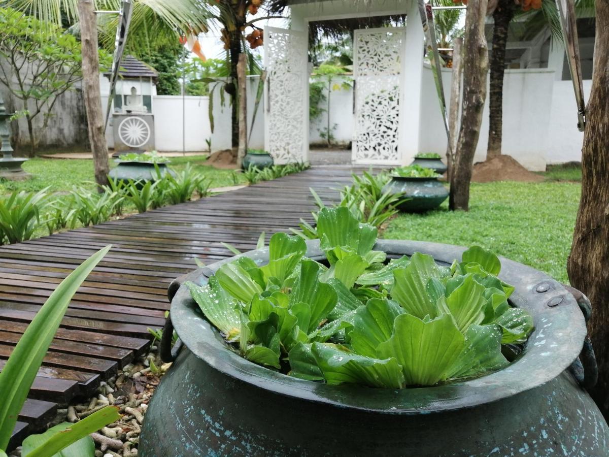 Cocovilla Boutique Resort Бентота Экстерьер фото